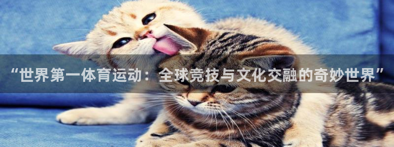 JJB竞技宝官网下载招商电话号码查询是多少：“世界第