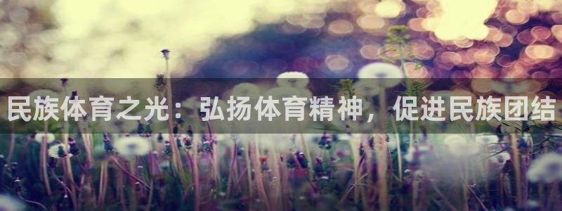JJB竞技宝官网下载招商电话是多少号码：民族体育之光：弘扬体