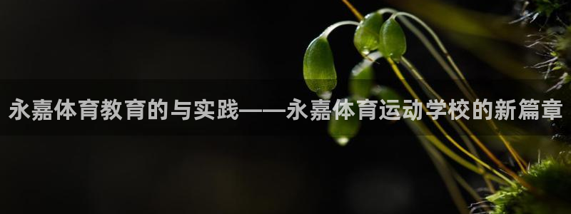 JJB竞技宝官方正版app娱乐是那个系列的台子：永嘉
