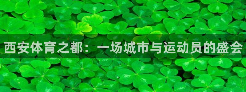 JJB竞技宝官网下载招商电话地址：西安体育之都：一场