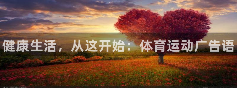 JJB竞技宝官网下载是干嘛的公司：健康生活，从这开始：体育运