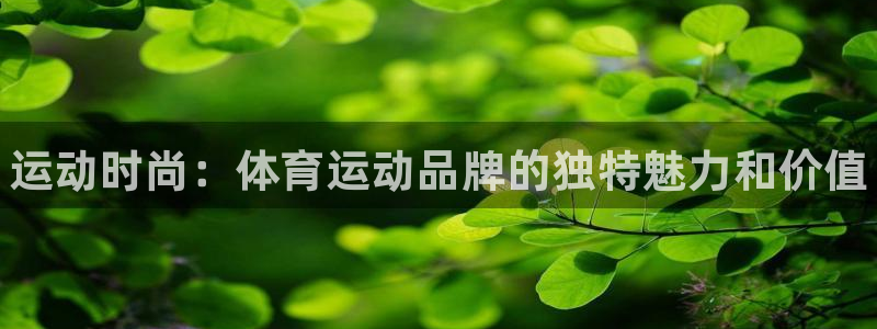 JJB竞技宝官方正版app集团：运动时尚：体育运动品牌的独特