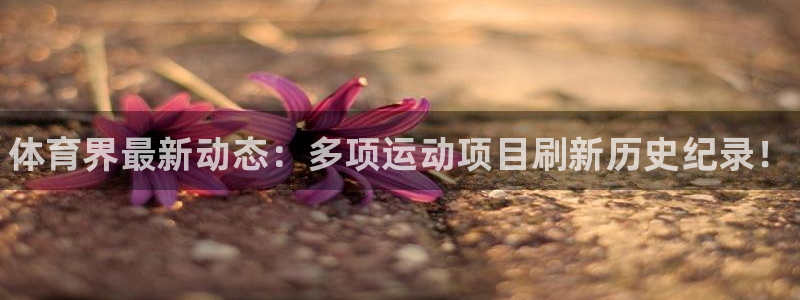 JJB竞技宝官方正版app开户：体育界最新动态：多项运动项目