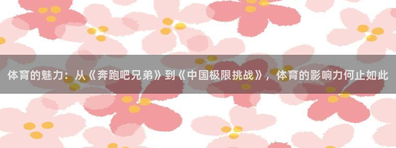 JJB竞技宝官方正版app官网：体育的魅力：从《奔跑吧兄弟》