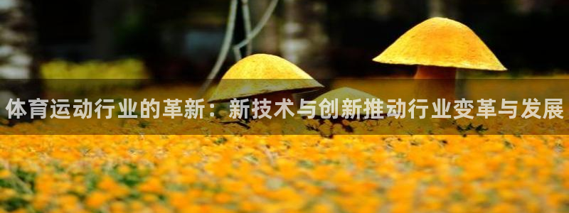 JJB竞技宝官方平台体育：体育运动行业的革新：新技术与创新推