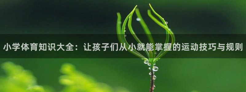 海南JJB竞技宝官网下载：小学体育知识大全：让孩子们