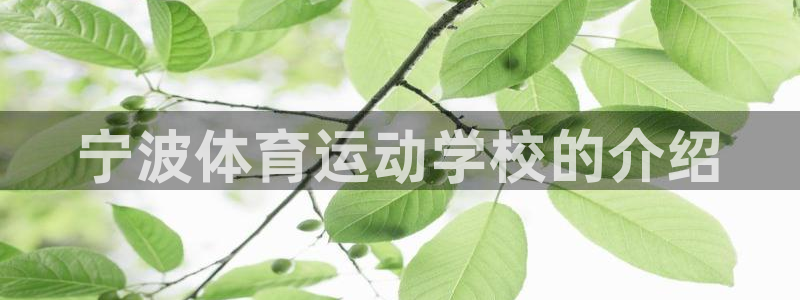 JJB竞技宝官方正版app集团logo：宁波体育运动