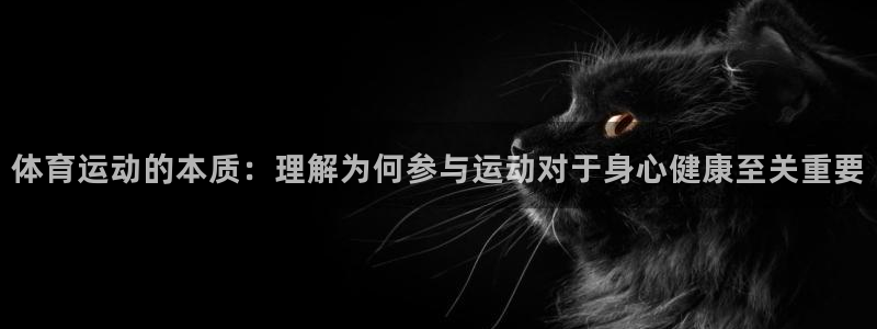 JJB竞技宝官方集团官网：体育运动的本质：理解为何参与运动对
