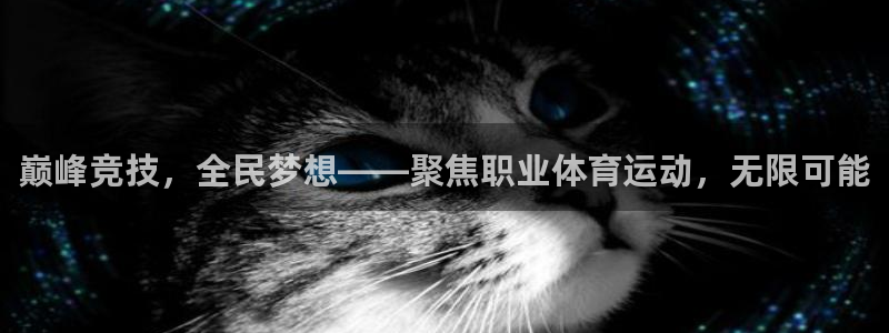 JJB竞技宝官网下载软件：巅峰竞技，全民梦想——聚焦