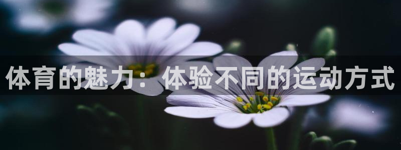 JJB竞技宝官方正版app集团logo：体育的魅力：