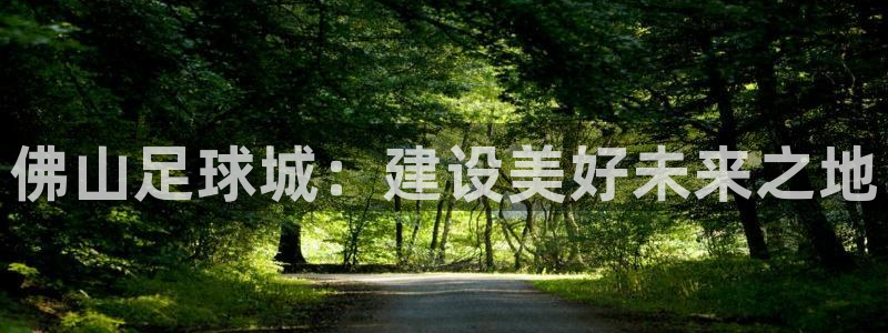 德国JJB竞技宝官方正版app集团：佛山足球城：建设