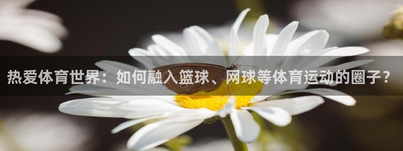 JJB竞技宝官网下载平台是正规平台吗：热爱体育世界：