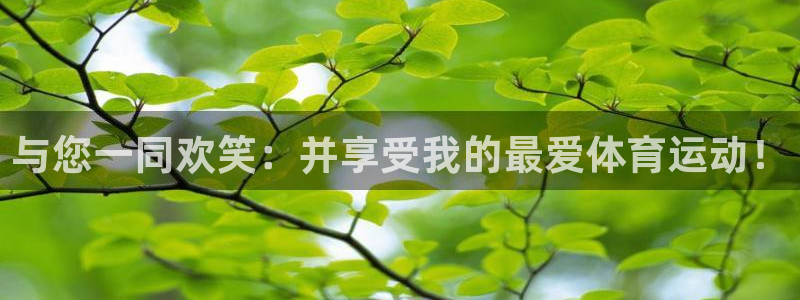 JJB竞技宝官方正版app娱乐平台