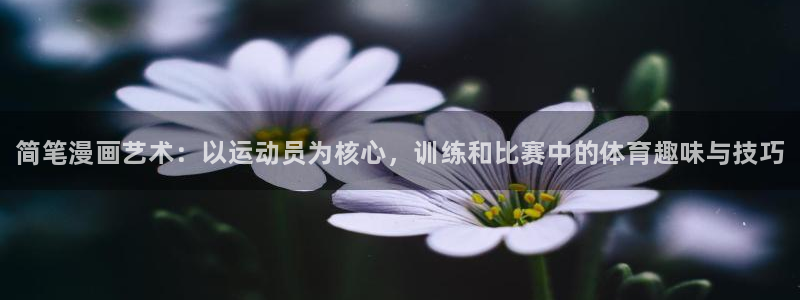 JJB竞技宝官网下载：简笔漫画艺术：以运动员为核心，