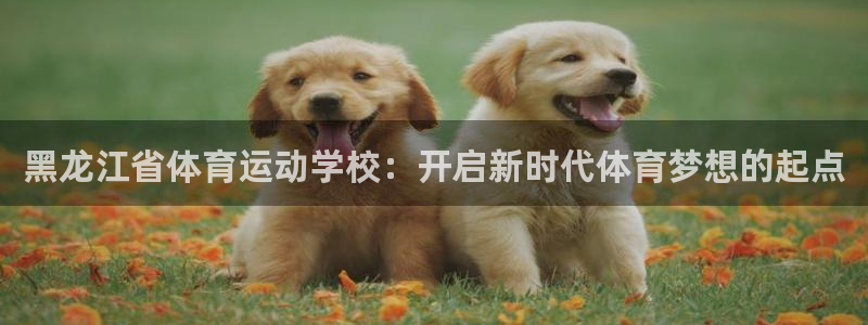JJB竞技宝官方正版app开户：黑龙江省体育运动学校：开启新