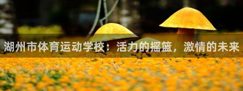 JJB竞技宝官方正版app娱乐是那个系列的台子:湖州市体育运