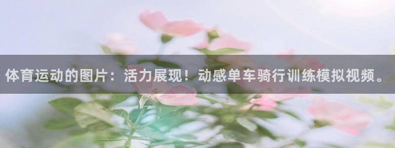 JJB竞技宝官网下载招商电话号码查询：体育运动的图片：活力展