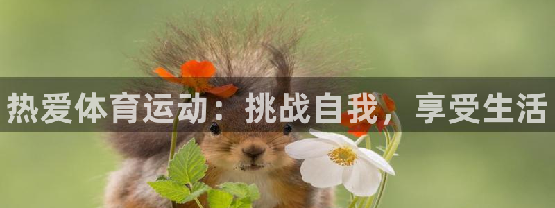 竞技宝官网官方在线登录