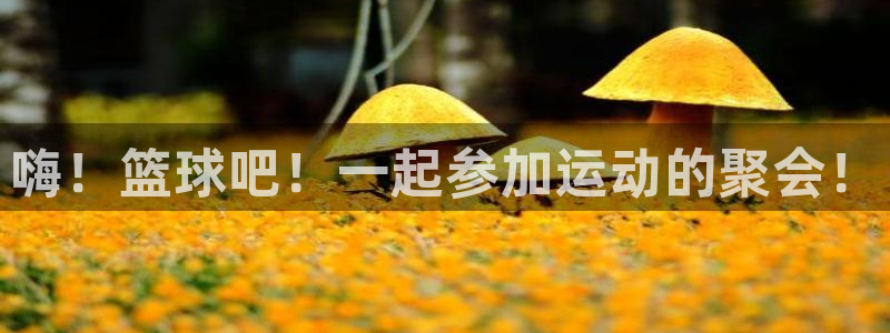 竞技宝官网dota2：嗨！篮球吧！一
