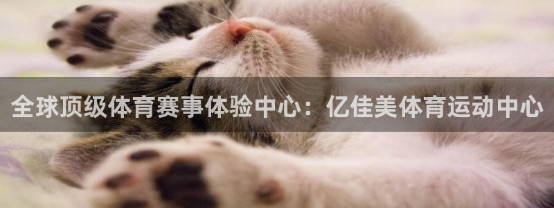  竞技宝app官网版下载：全球顶级体育赛事体验中心：亿佳美体育