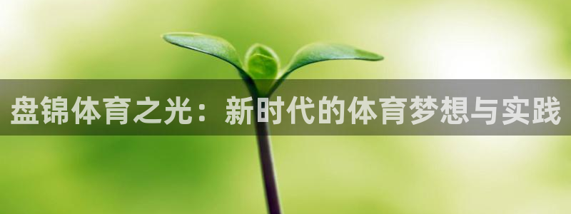  竞技宝登录入口官网：盘锦体育之光：新时代的体育梦想与实践