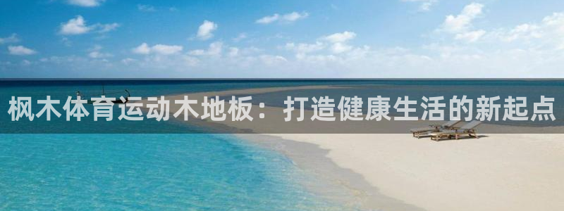 竞技宝官网是什么：枫木体育运动木地板