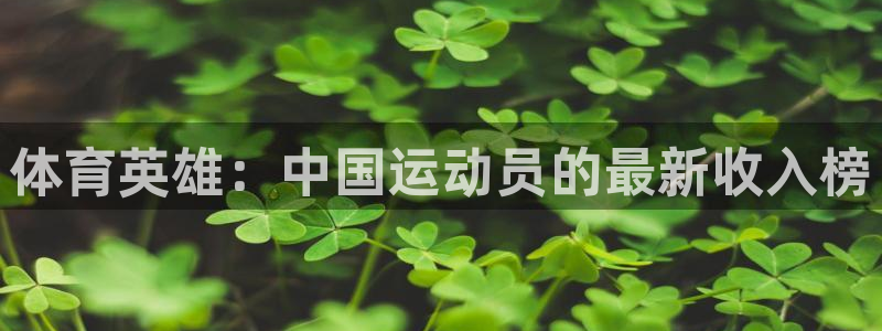 竞技宝跑路：体育英雄：中国运动员的最