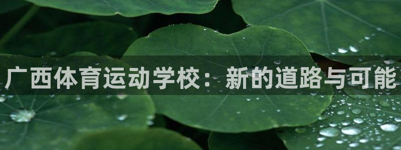 竞技宝是干嘛用的去哈哈电竞：广西体育运动学校：新的道路与可能