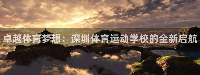  竞技宝官网登录：卓越体育梦想：深圳体育运动学校的全新启航