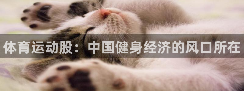 竞技宝最新网站下载：体育运动股：中国