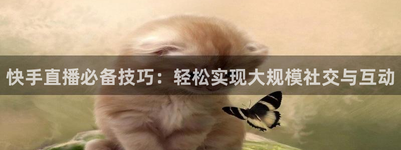 蜘蛛直播体育nba直播在线