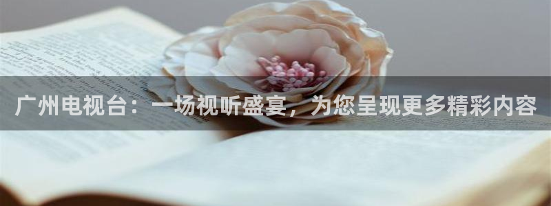 蜘蛛体育免费直播：广州电视台：一场视听盛宴，为您呈现更多精彩内容