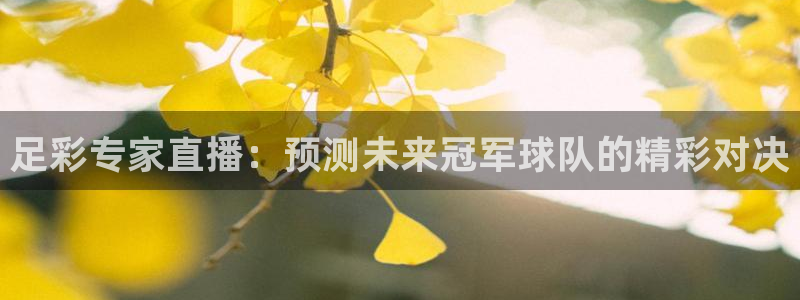 蜘蛛直播nba免费