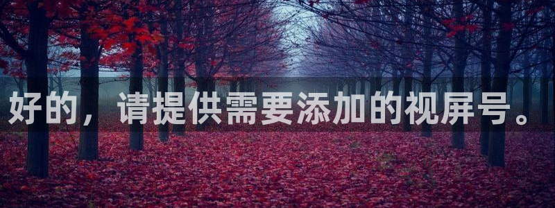 蜘蛛直播体育免费