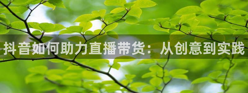 nba蜘蛛直播：抖音如何助力直播带货：从创意到实践